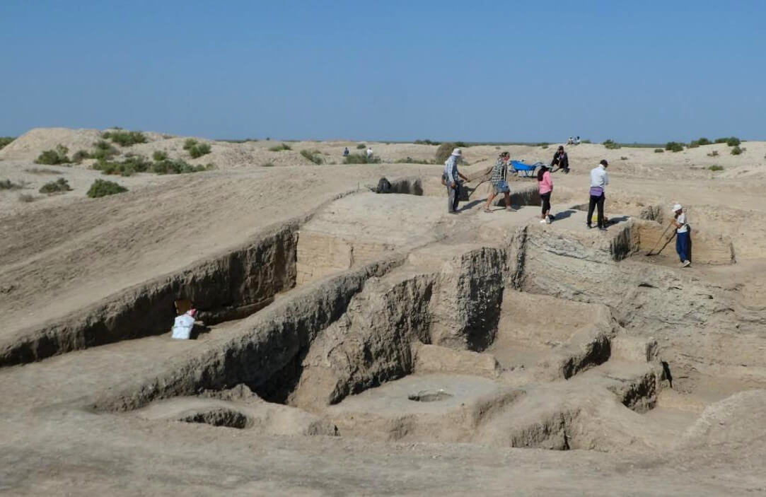 Раскопки возле восточной стены Цитадели Джанкента в месте, где были найдены останки кота.