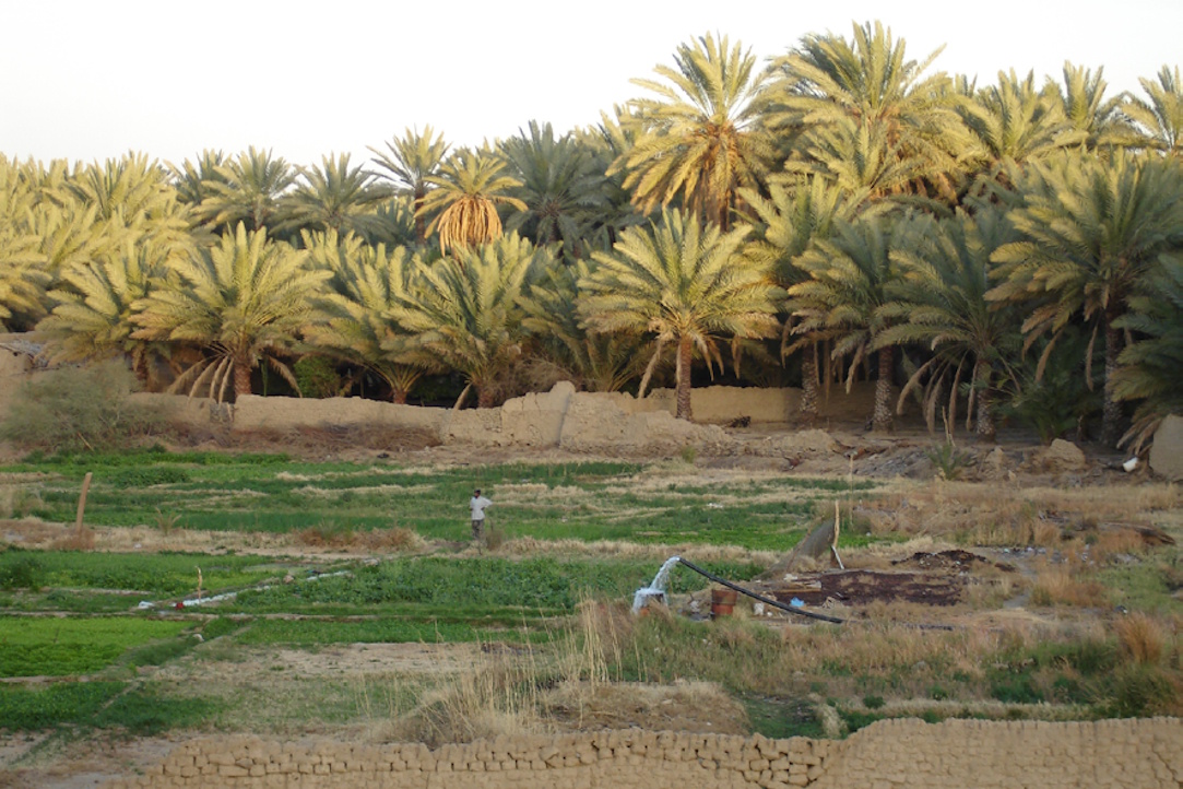 Иллюстрация к новости: Оазис Тайма: археология и эпиграфика. Доклад Юрия Кондратьева на семинаре НУГ «Семитская эпиграфика в цифровую эпоху»